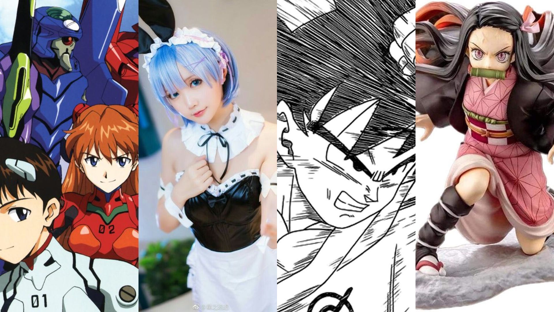 ¿Qué es otakus de anime?