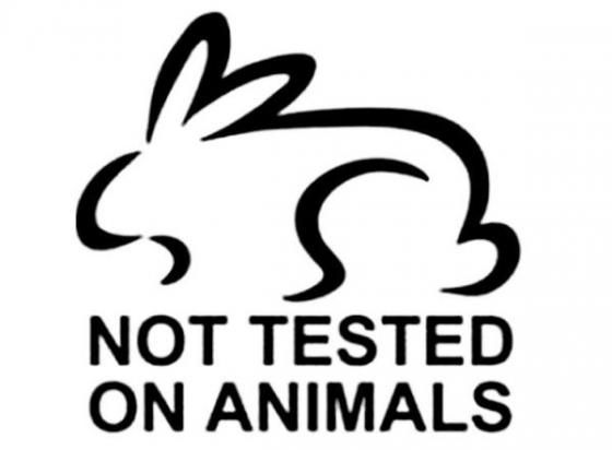 campaña no testeo en animales
