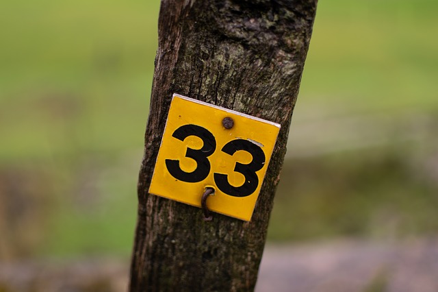 numerologia-significado-33