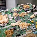 Mushroom Motherboard