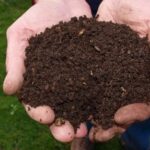 Manos sujetando sustrato