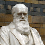 La escuela primaria retira el espectáculo de Darwin después de que los padres cristianos se quejan