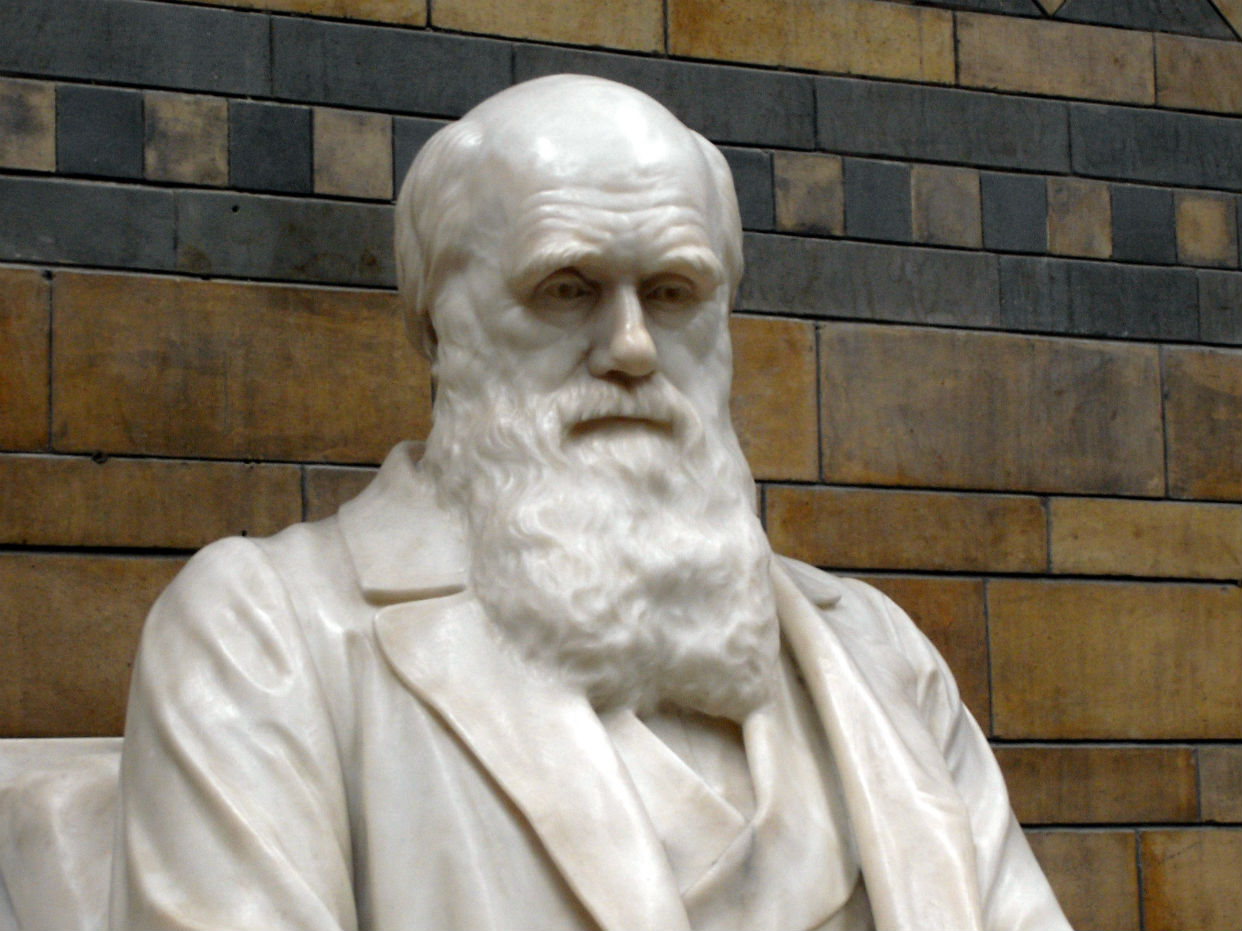 La escuela primaria retira el espectáculo de Darwin después de que los padres cristianos se quejan
