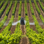 La importancia de las comunidades rurales en el desarrollo sostenible