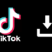 Descargar Videos de YouTube y TikTok – SsYouTube.com
