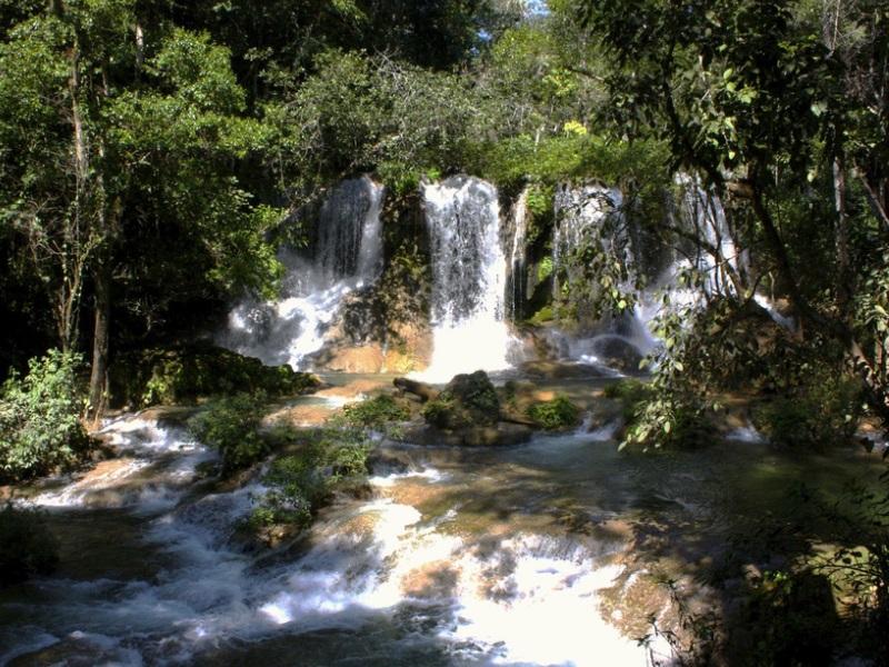 selva_lacandona