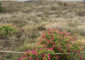 Gavà Mar: Fusión de Lujo Hotelero y Excelencia Gastronómica