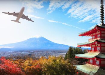 ¿Qué es el hanami y en qué época se puede ver?