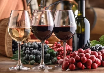 Vinos accesibles para el bolsillo en enero: opciones económicas con gran calidad