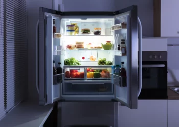 Refrigeradora vs. congelador ¿Qué los diferencia y cuál elegir?