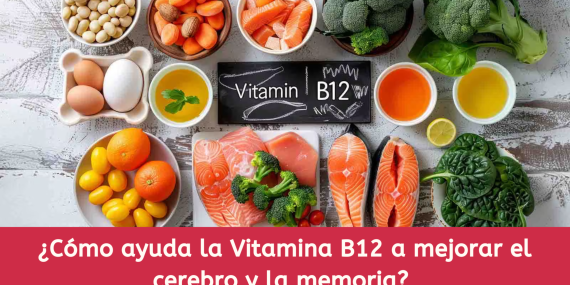 ¿Cómo ayuda la Vitamina B12 a mejorar el cerebro y la memoria?