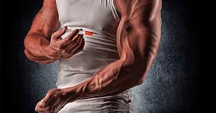 ¿Qué Son los Esteroides Anabólicos?