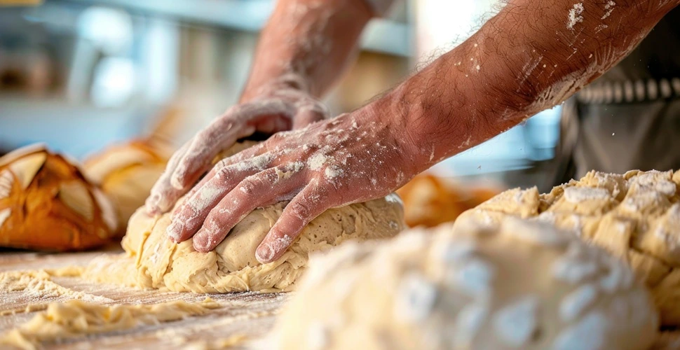 Innovación en texturizantes y espesantes para la industria alimentaria: claves para panificación, snacks y lácteos